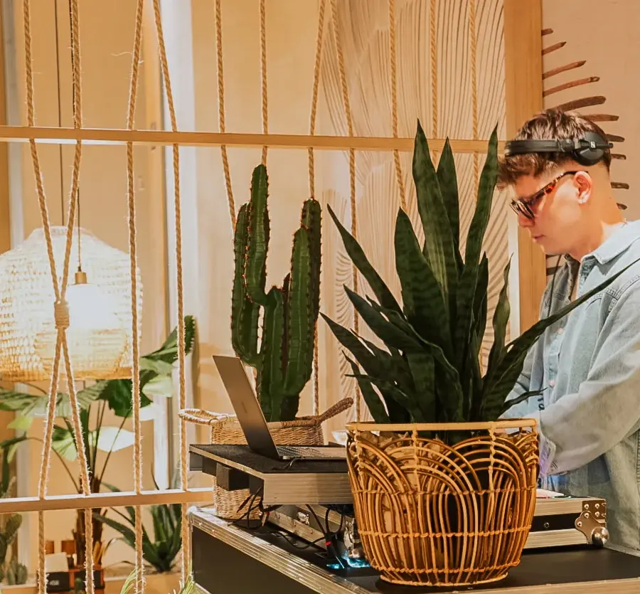 Ambiente im Agave